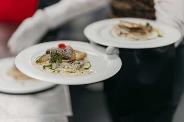 DSC06641-Enhanced-NR